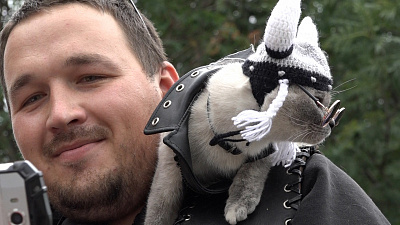 Любящая экстрим кошка Хонда живет на Южном Урале