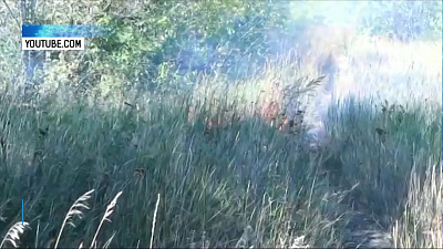 В Карталах могут начаться пожары из-за жары