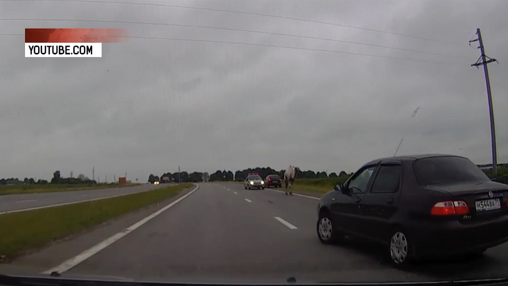 Происшествия дня 24.07.2018