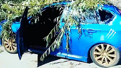 Упавшее дерево придавило машину в Челябинске 