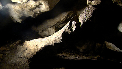 Редкую «ногу мамонта» обнаружили южноуральские спелеологи