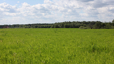 Южноуральцы смогут бесплатно получить земельные участки под строительство