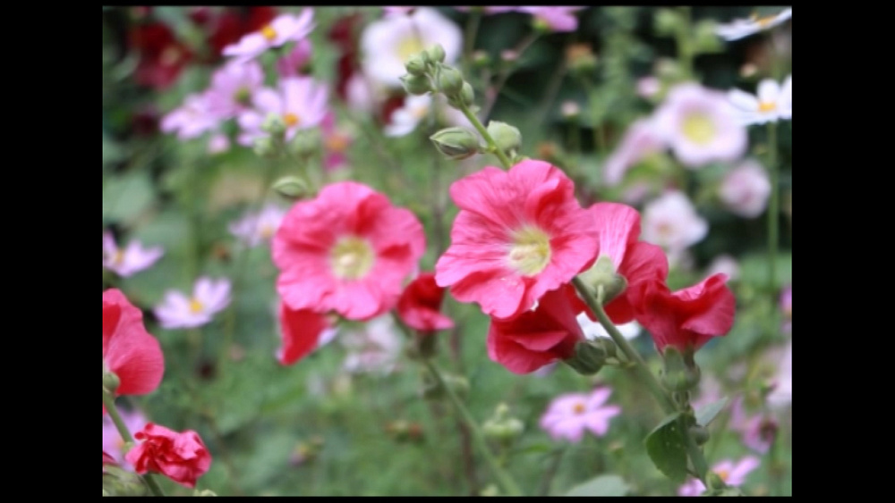 Время новостей. Миасс от 01.08.2018