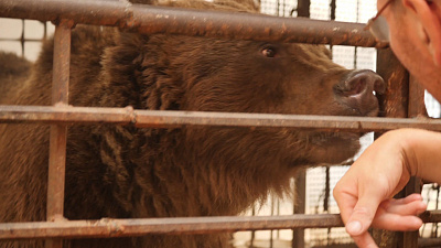 Троицкий мишка научился стирать и принимать душ