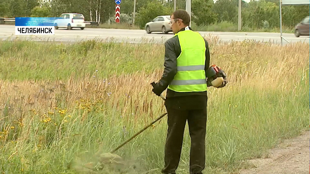 В городе начали косить траву после замечания полпреда