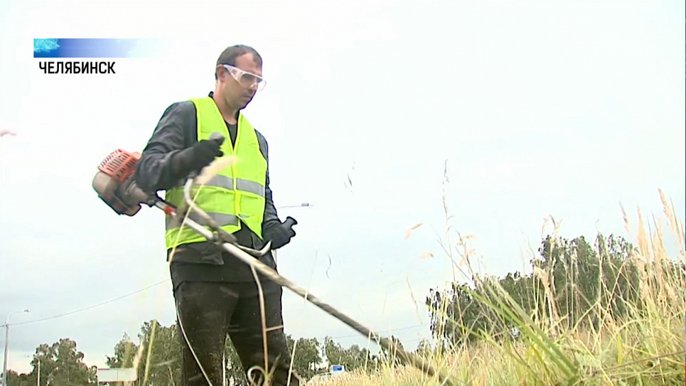 В районах составят графики скашивания травы