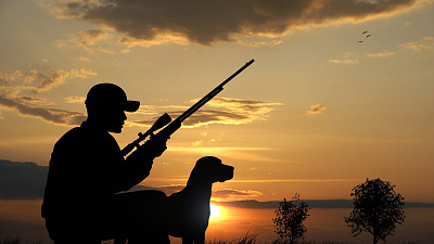 Трофеев будет больше: охотникам Челябинской области увеличили квоты