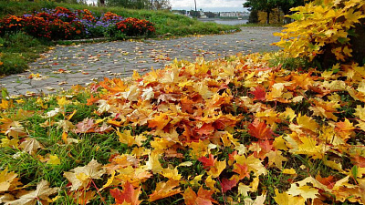 Лето в Челябинске закончилось