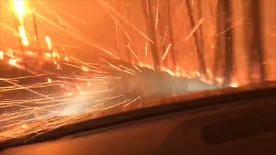 Невероятный побег из горящего леса попал на видео