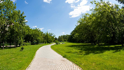 В парке на северо-западе Челябинска началась реконструкция тропы здоровья