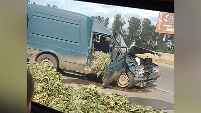 «С легким паром!»: на дороге под Магнитогорском в ДТП попал автомобиль с банными вениками 