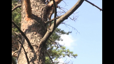 Время новостей. Миасс от 22.08.2018