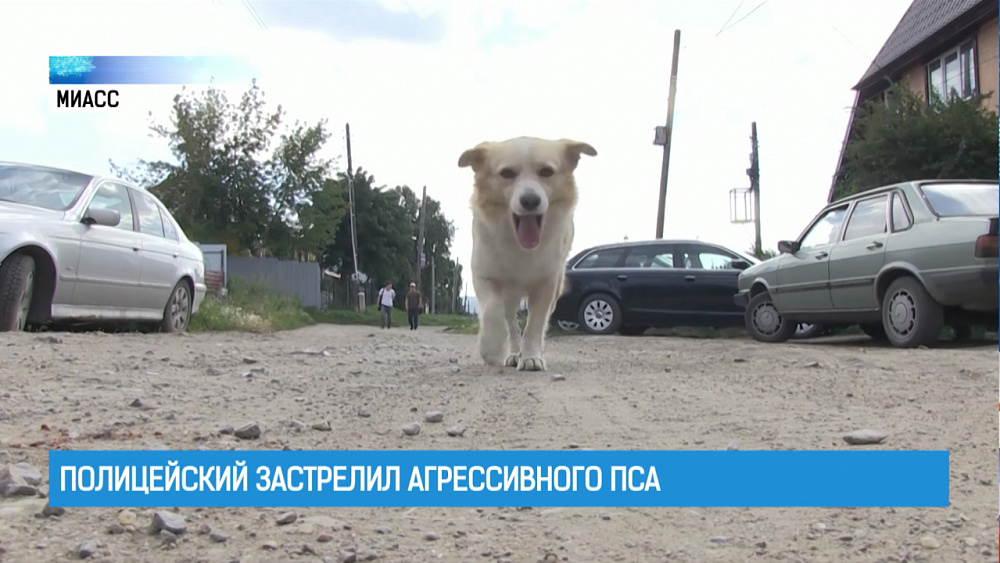 Полицейский застрелил агрессивного пса