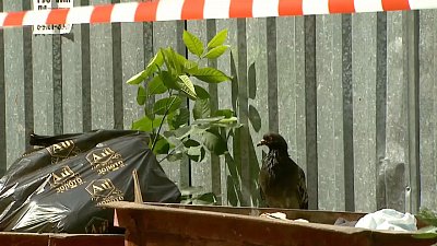 Происшествия недели 26.07.2018