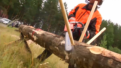 Лесное многоборье