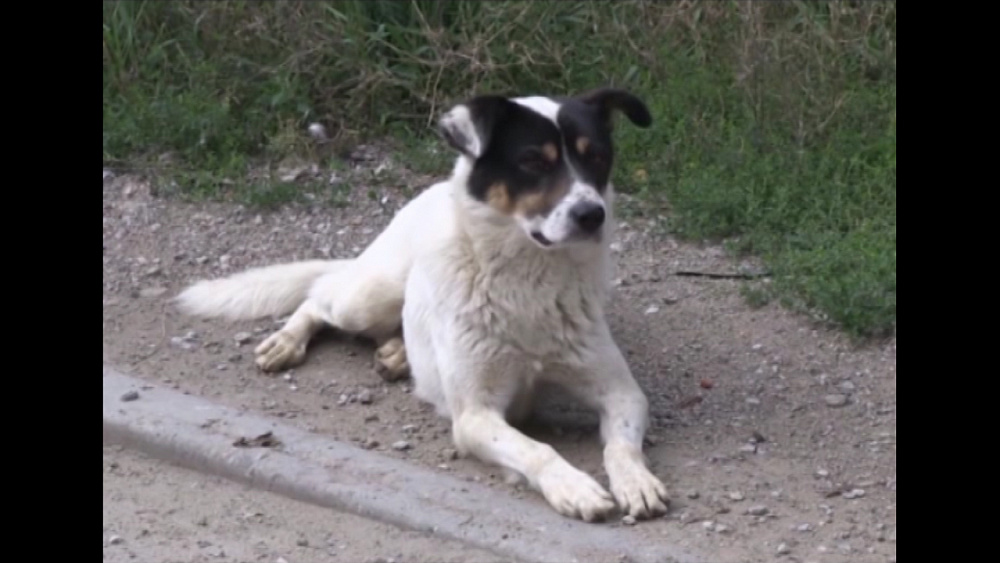 Время новостей. Миасс от 28.08.2018