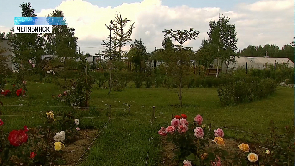 На Южном Урале отметят День Садовода