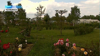 На Южном Урале отметят День Садовода