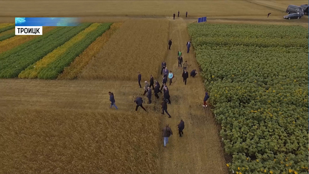 Южноуральские аграрии жалуются на засилье банков