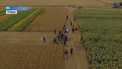 Южноуральские аграрии жалуются на засилье банков