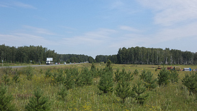 Челябинцы посадят лес в окрестностях Кременкуля