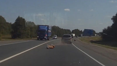 Происшествия дня 05.09.2018