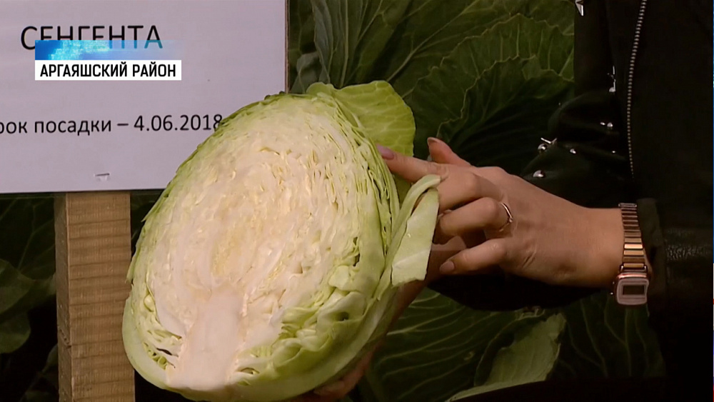 На Южном Урале началась уборочная кампания