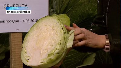 На Южном Урале началась уборочная кампания