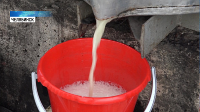 Соковыжималку изобрели челябинские садоводы