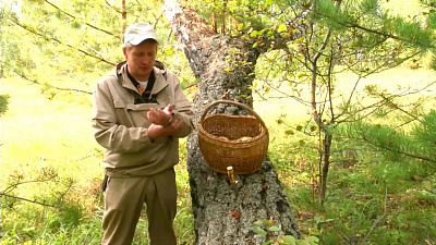 Мужское хобби – грибник