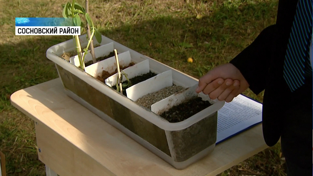 Саргазинская школа получила грант на покупку лабораторий