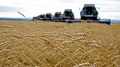 Брединский район стал лидером уборочной кампании