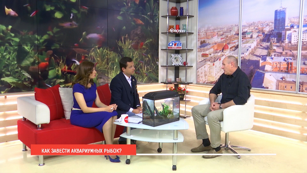 Зачем нам аквариумные рыбки?