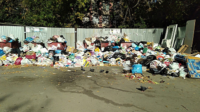 На ликвидацию стихийных свалок в Челябинске необходимо минимум 10 дней