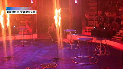 В магнитогорском цирке тигрица упала в обморок