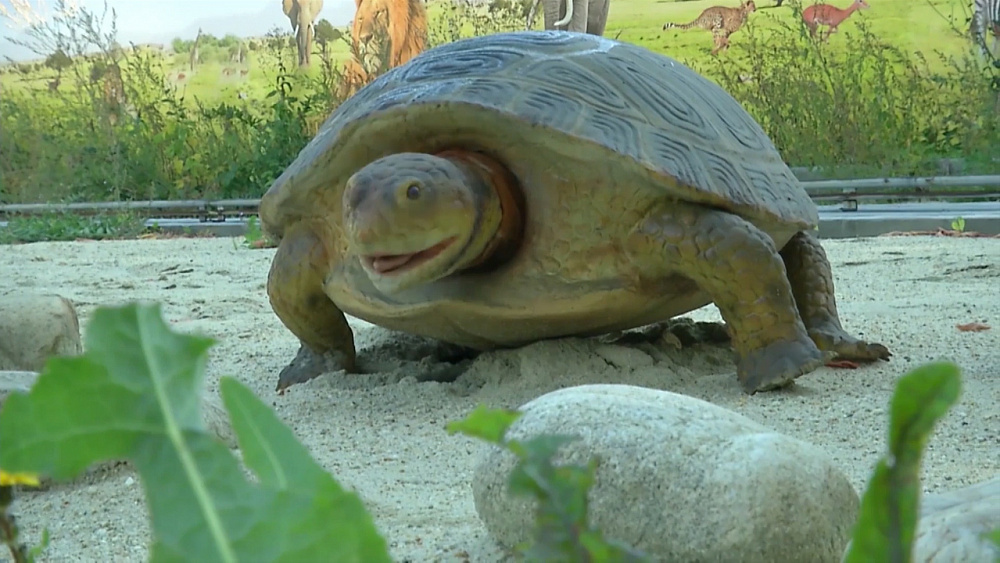 Сафари-парк