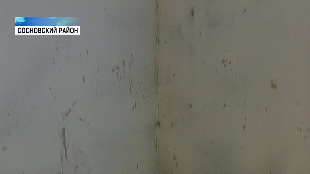 Жильцы жалуются на плесень в новостройке