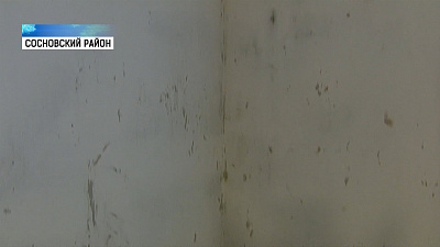 Жильцы жалуются на плесень в новостройке