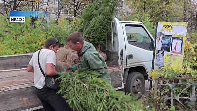 Благотворительный день провели на фестивале «Сцена»