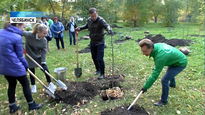 Яблоневый сад появился в челябинской школе