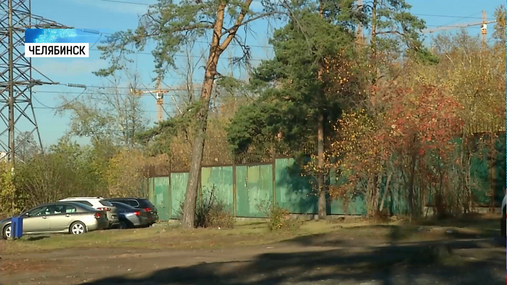 Дельфинарий предлагают построить в Челябинске