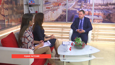 Редкие растения Южного Урала