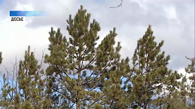 В области объявлено штормовое предупреждение