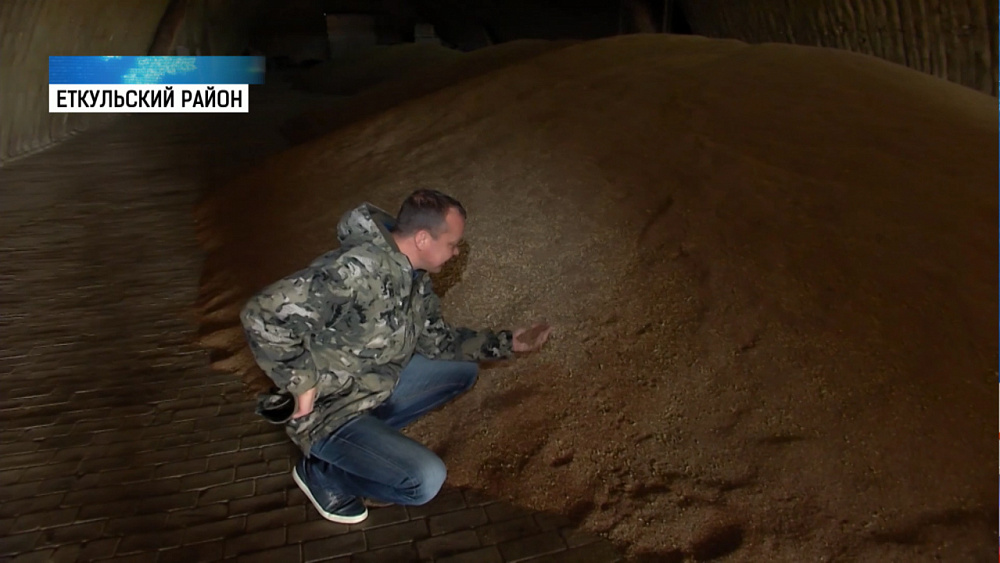 Льняное масло прославит Челябинскую область 