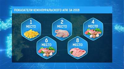 Показатели южноуральского АПК за 2018 год