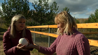 В гостях у страусов