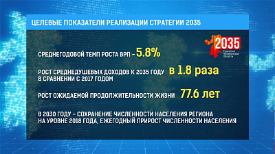 Стратегию-2035 одобрила федерация