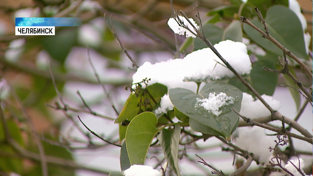 На очистку улиц вышли 15 машин