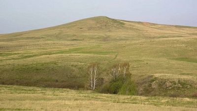 Аренду земли пересчитал южноуральский бизнес-омбудсмен