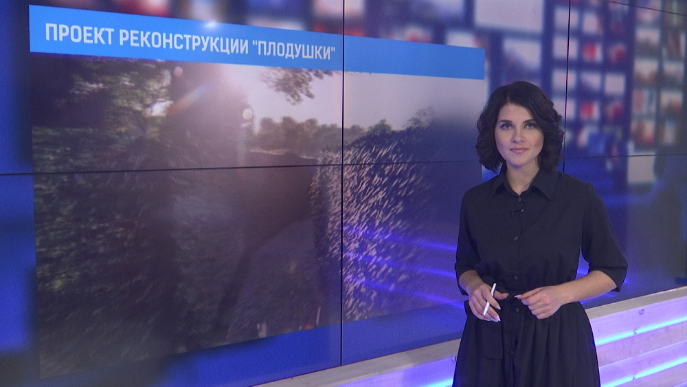 Дизайнеры представили эскизный проект реконструкции «Плодушки»